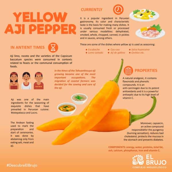 Yellow aji pepper