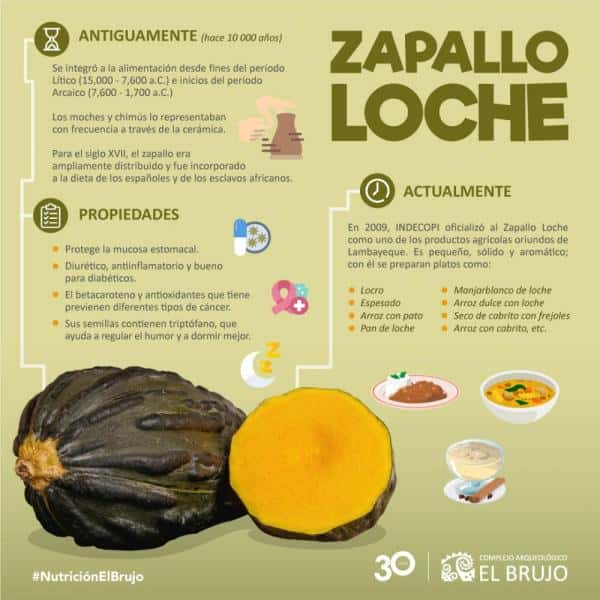 Zapallo loche