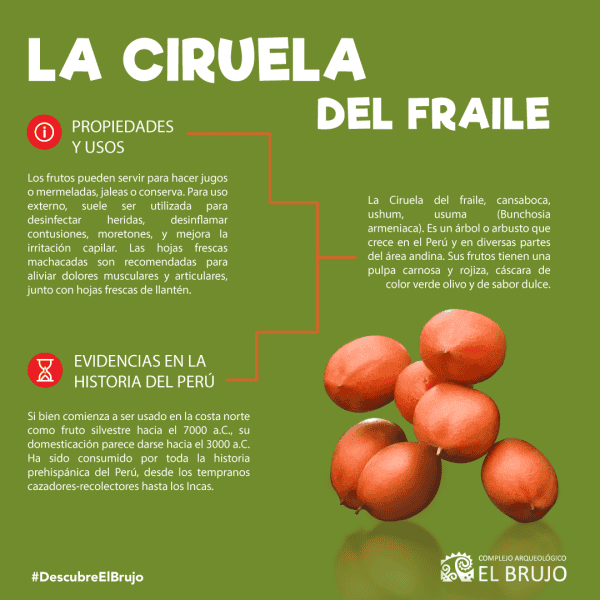 La ciruela del fraile