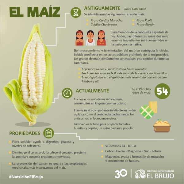 El maíz