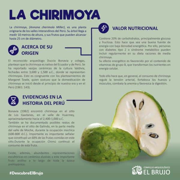 La chirimoya