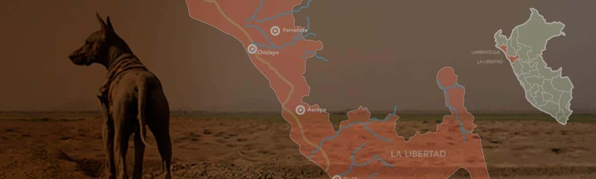La Ruta Moche: Descubre todos los sitios arqueológicos que puedes visitar en 4 días