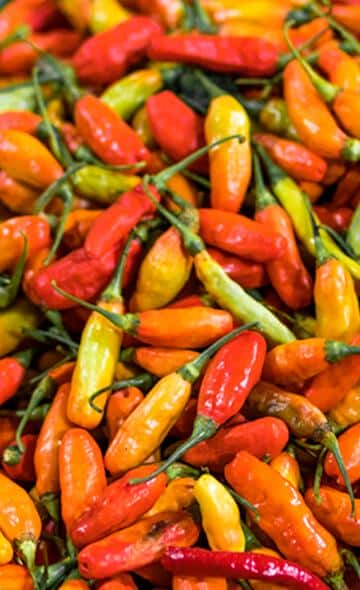 Alimentos Andinos: El Ají Amarillo