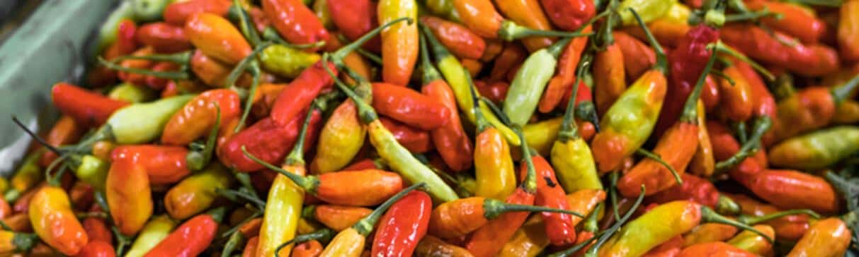 Alimentos Andinos: El Ají Amarillo