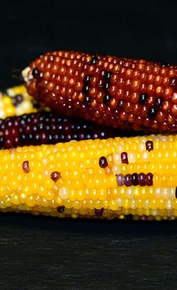 Serie Alimentos Andinos: El Maíz