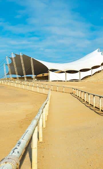 Los lambayeque: Orígenes mitológicos y sociedad