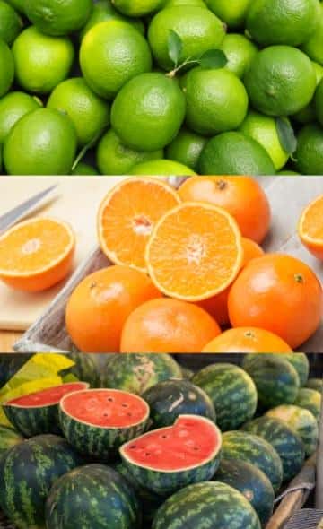 9 alimentos que se hallaron en el valle de Chicama con un origen inesperado