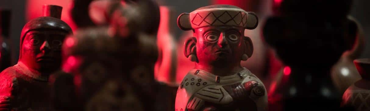 Aves y plumas en el norte del Perú