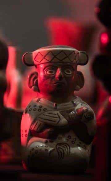 Aves y plumas en el norte del Perú