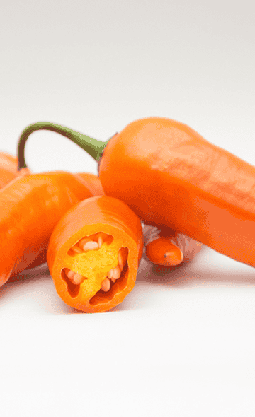 Ají amarillo: origen, propiedades y usos en la gastronomía peruana