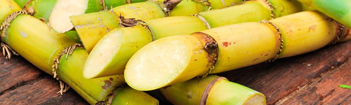 Plantas Alimenticias Introducidas en el Valle de Chicama Durante el Virreinato del Perú