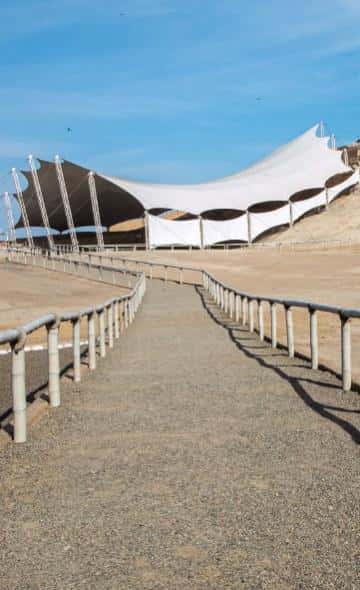 Conoce la Huaca Cao Viejo: ¿qué figuras hay en sus murales y cómo visitar el templo mochica?