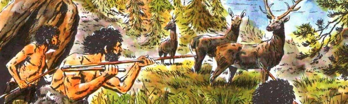 Cultura mochica: animales con los que interactuaban en la época prehispánica