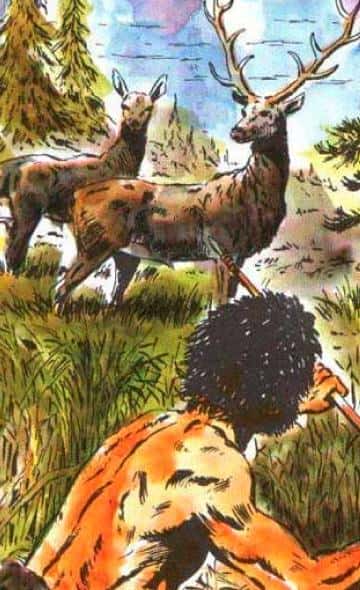 Cultura mochica: animales con los que interactuaban en la época prehispánica