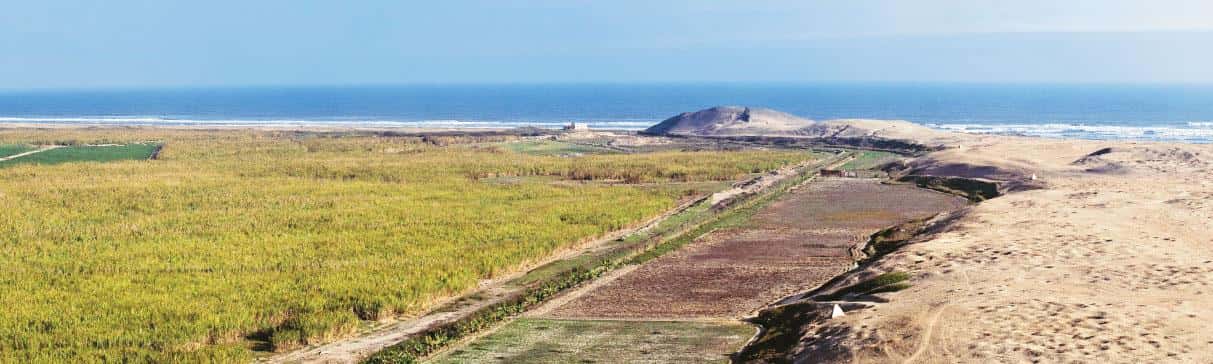 Early pre-Hispanic fishing in the El Brujo Archaeological Complex