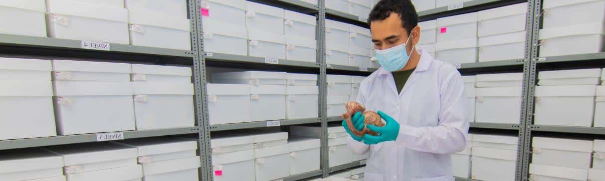 Catalogación integral de objetos museables del complejo arqueológico El Brujo