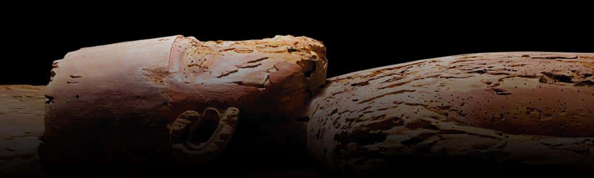 La conservación del Ídolo de Madera