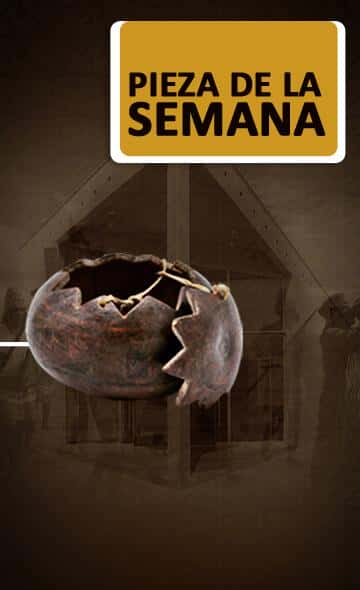 Conoce a la colección que forma parte de la «Pieza de la Semana», en nuestras redes sociales