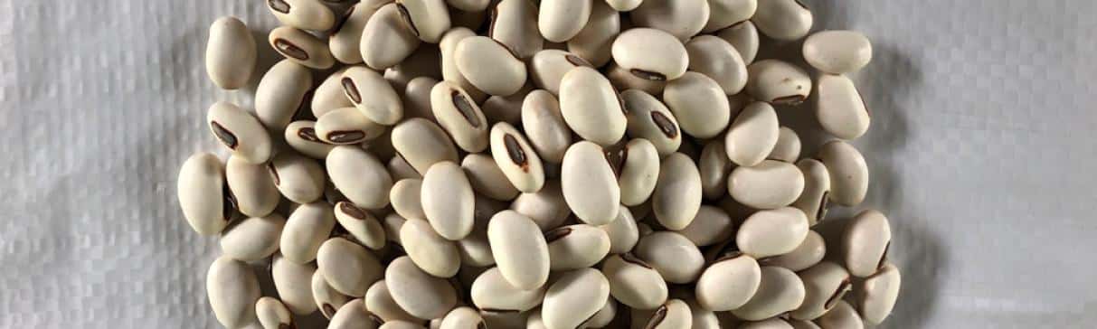 Pallar de Gentil: Serie alimentos andinos