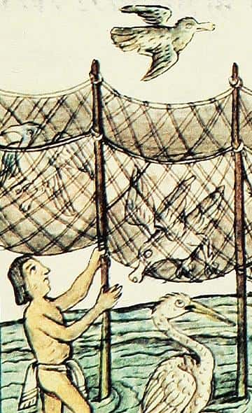 La crianza y la caza de animales en tiempos de la cultura Mochica