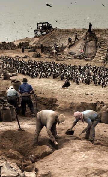 The Andean Littoral Islands: Notes on their Economy and Rites in Pre-Hispanic Periods – part 1