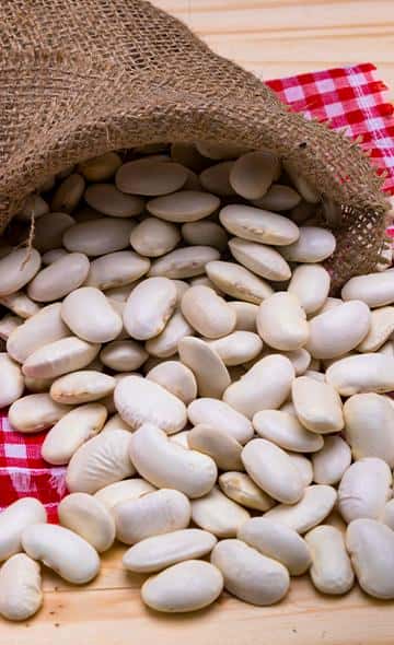 Serie: Alimentos Andinos El Pallar