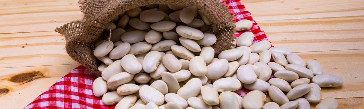 Serie: Alimentos Andinos El Pallar