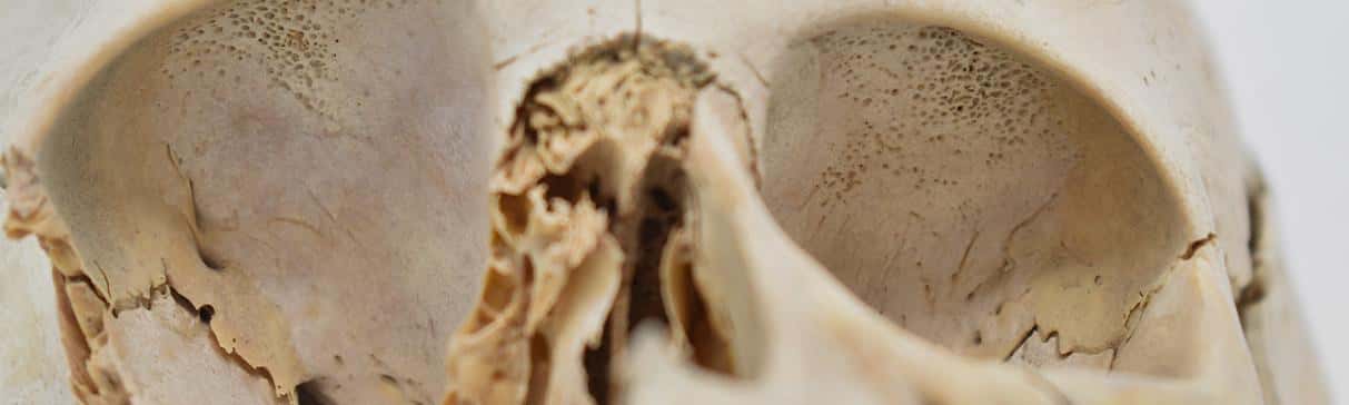 La Colección de Óseos Humanos del Complejo Arqueológico El Brujo