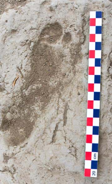 La infancia moche vista desde el Complejo Arqueológico El Brujo