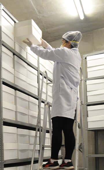 Works in the Depots of the El Brujo Archaeological Complex: The Reconditioning of the Collections