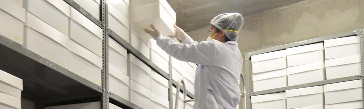 Works in the Depots of the El Brujo Archaeological Complex: The Reconditioning of the Collections