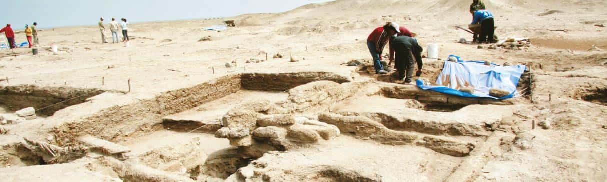 ¿Animales en el arte mochica? Conoce cómo la fauna tuvo influencia en la iconografía moche