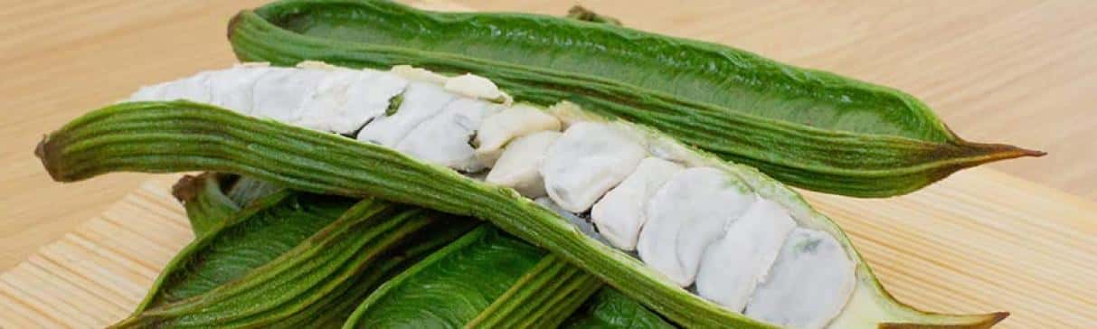 Serie Alimentos Andinos: El Pacae