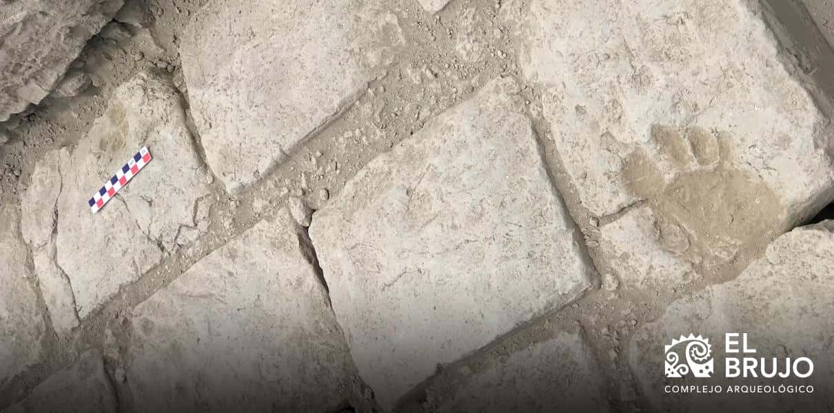 perro peruano origen