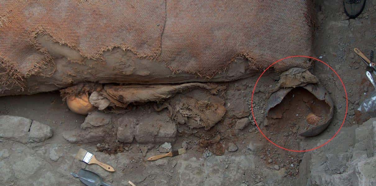 mate acompa&ntilde;ante se&ntilde;ora de cao