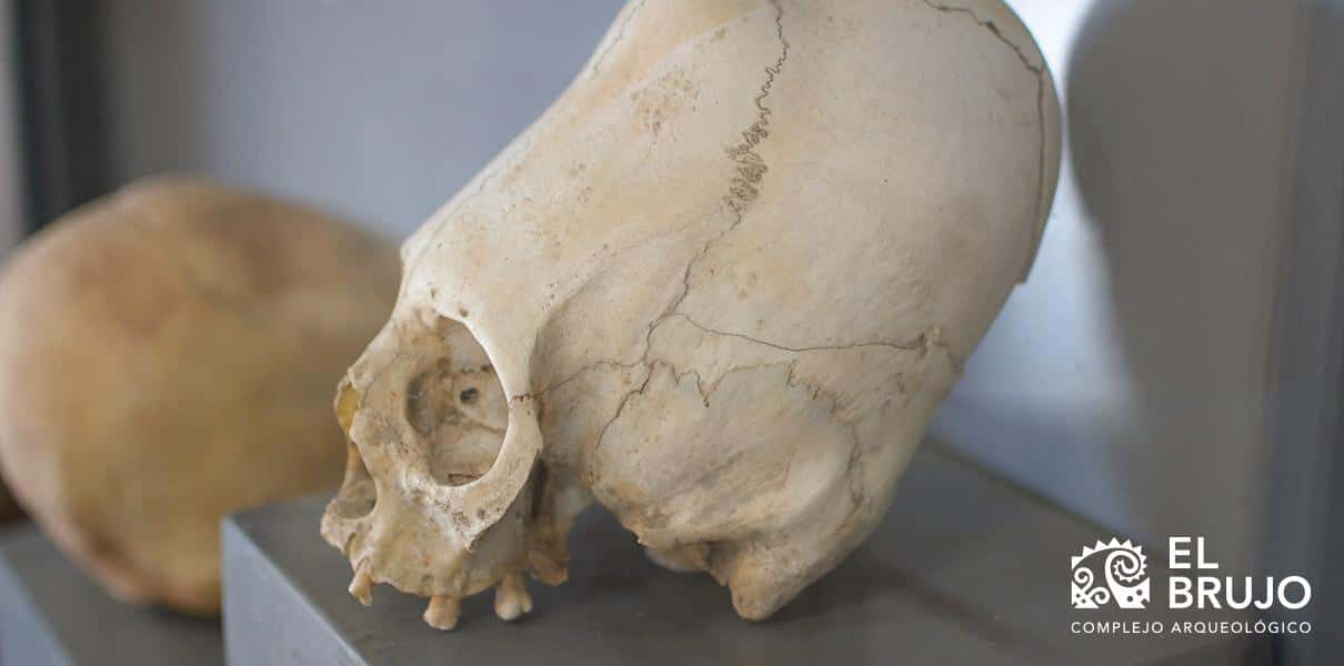 cultura paracas cultura paracas