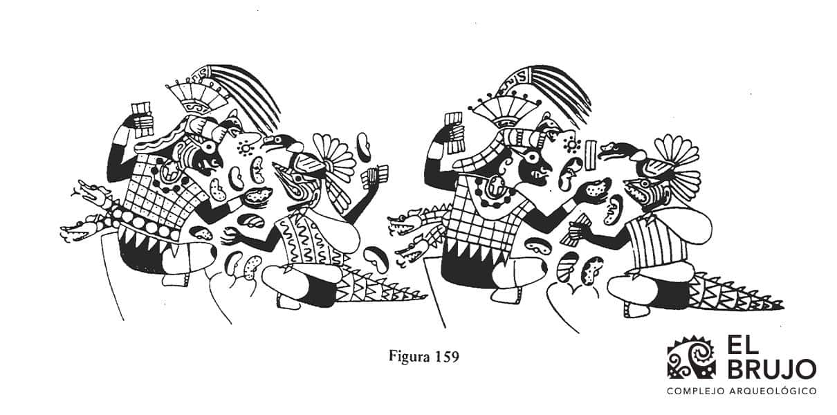 El pallar en los Andes Prehisp&aacute;nicos