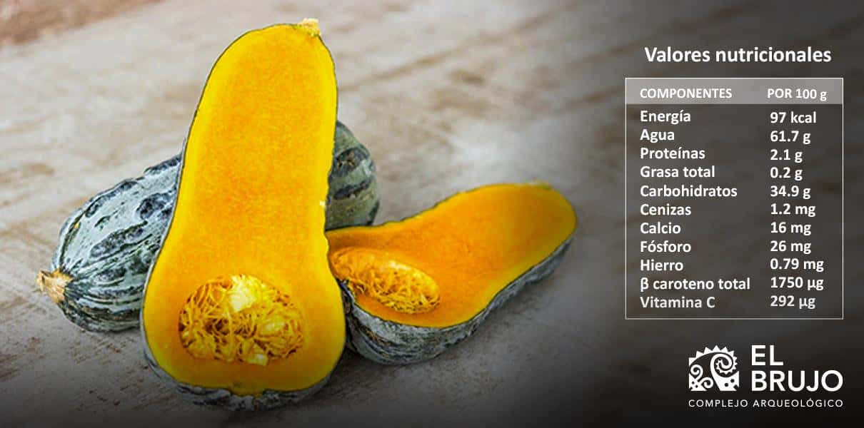 zapallo loche valor nutricional