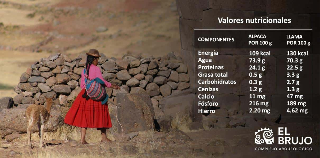 valor nutricional valor nutricional de la carne de llama y alpaca