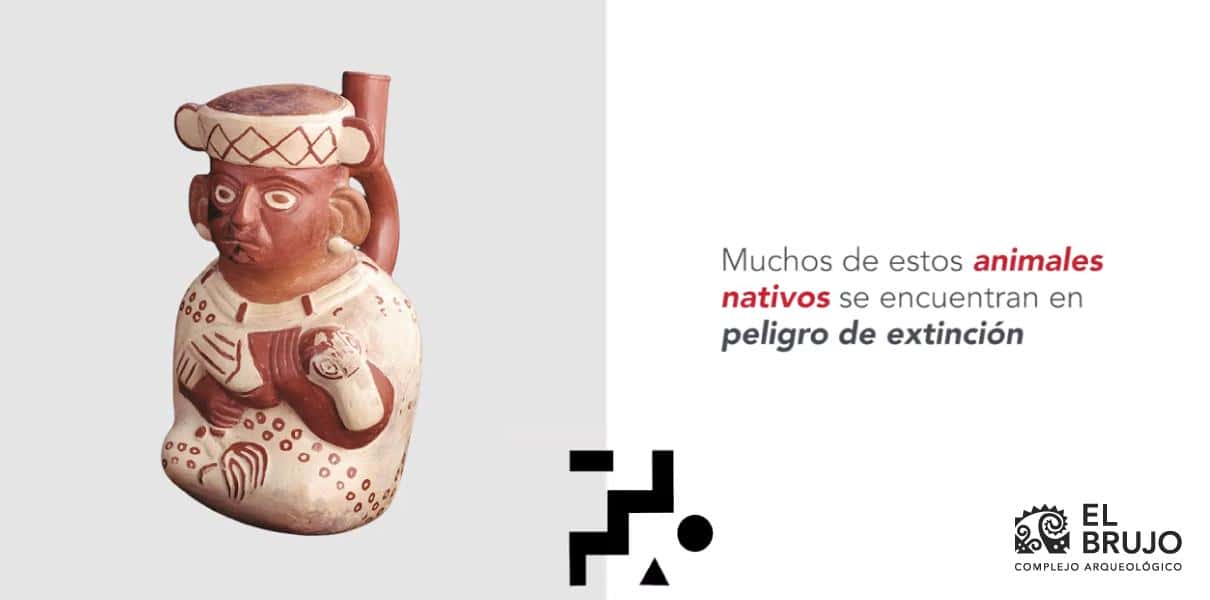 animales en ceramica mochica animales en ceramica mochica